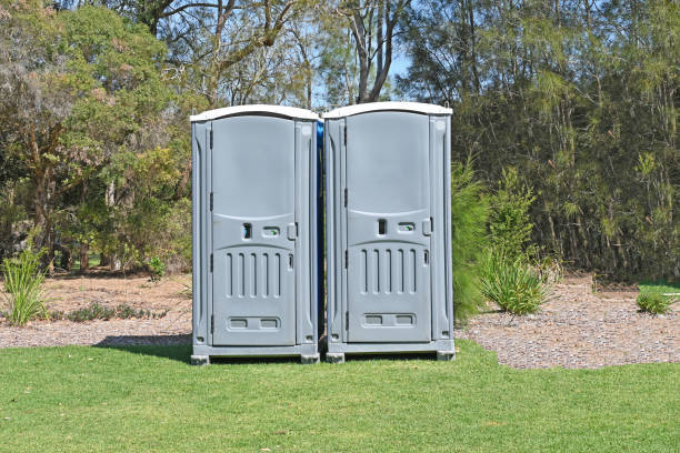 Best Seasonal Cleanup (Spring/Fall)  in Telford, TN